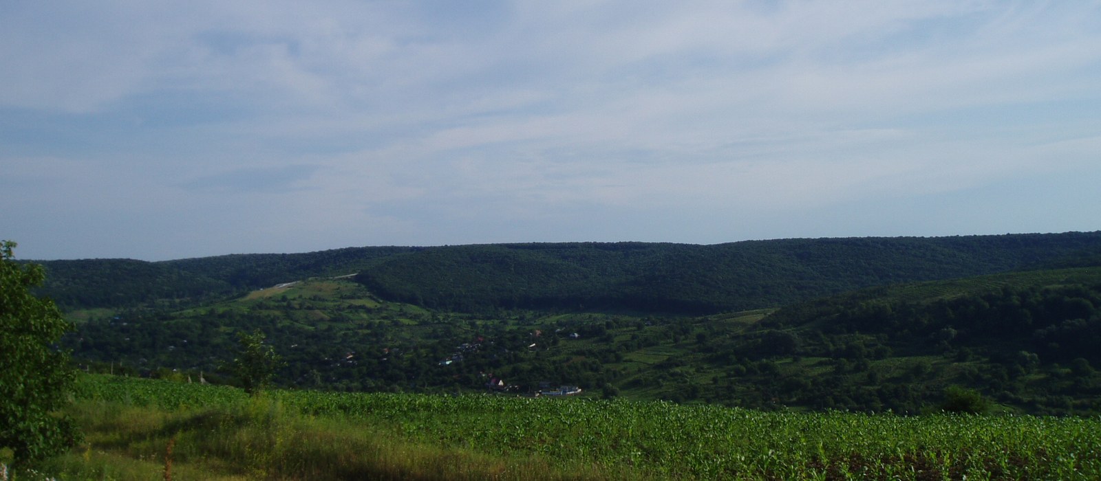 Un lan de porumb în față și dealuri împădurite în depărtare, peisaj rural din Republica Moldova