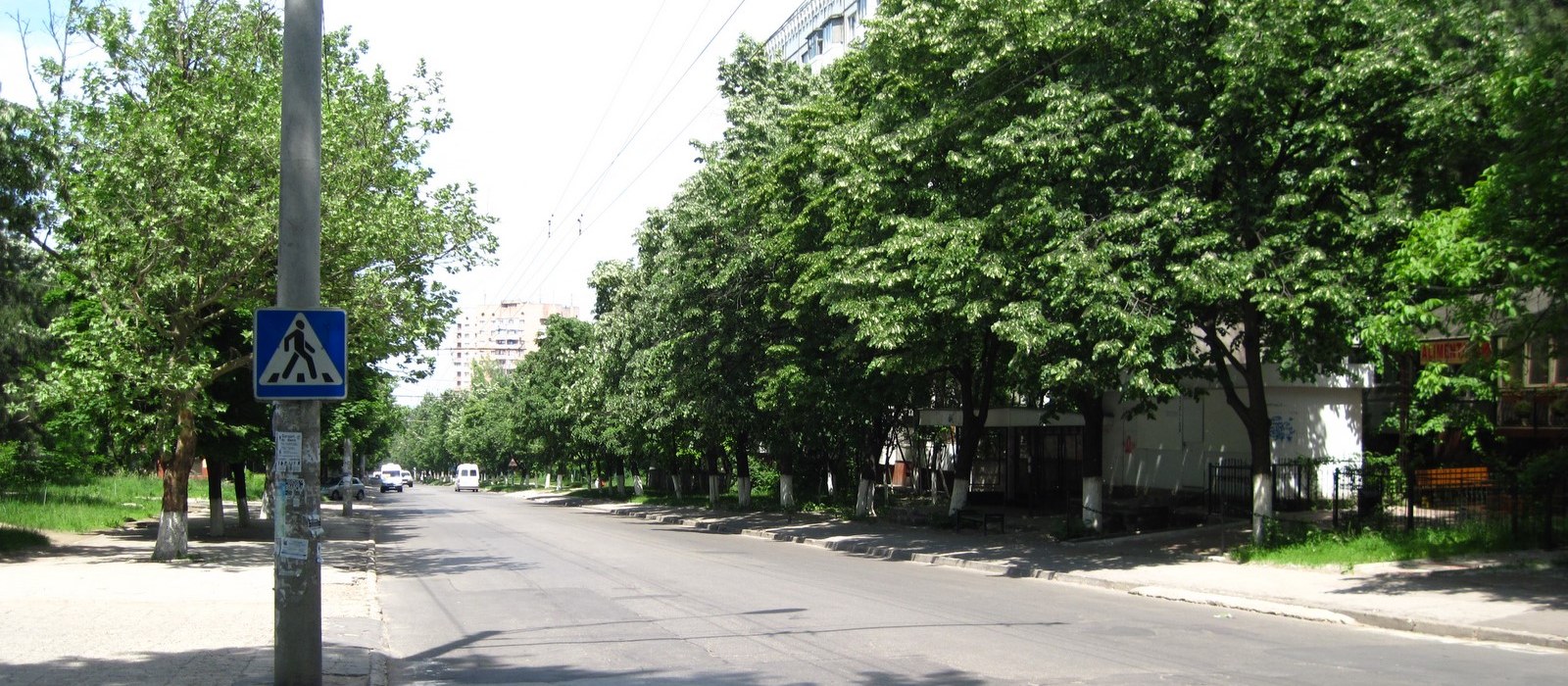Stradă cu arbori înalți și microbuze în depărtare, într-un cartier din Chișinău