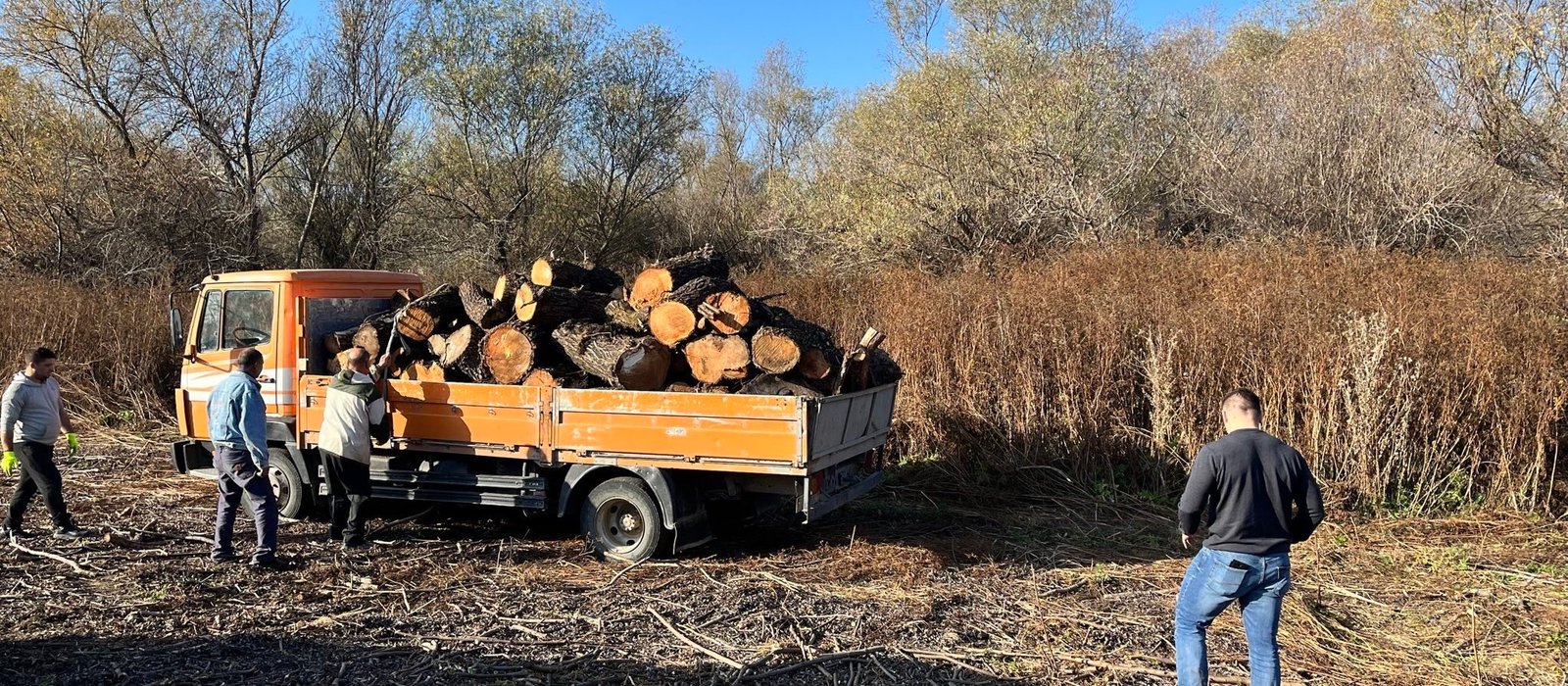 Muncitori încarcă lemne de foc într-un camion la un depozit de lemn de lângă Cahul, Moldova