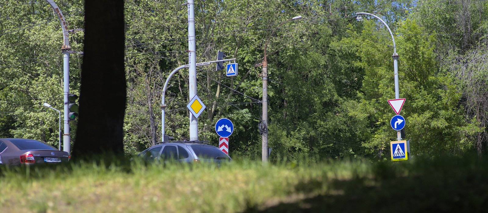 Intersecție cu semafoare și indicatoare rutiere printre copaci, pe strada Alecu Russo din Chișinău