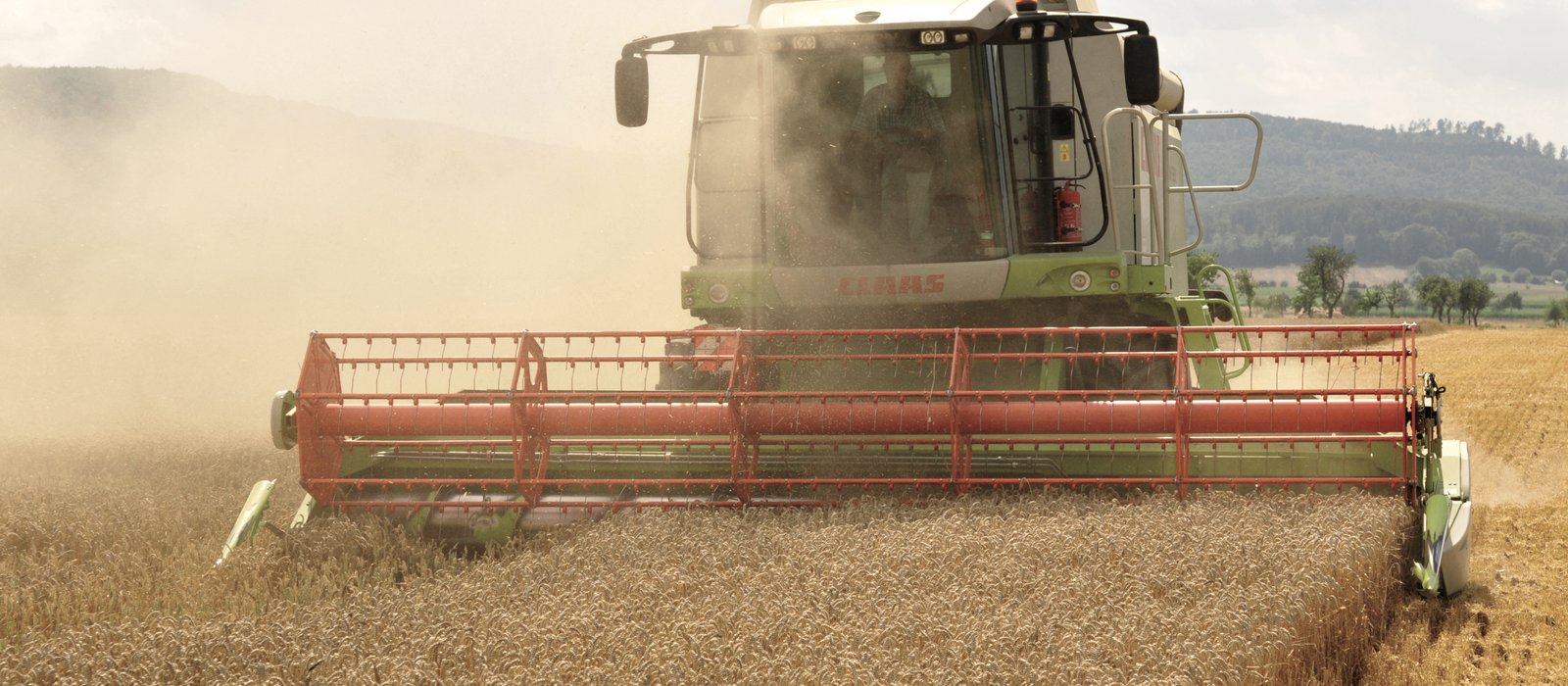 Un combain Claas Lexion taie grâul pe un lan întins, în timpul recoltei