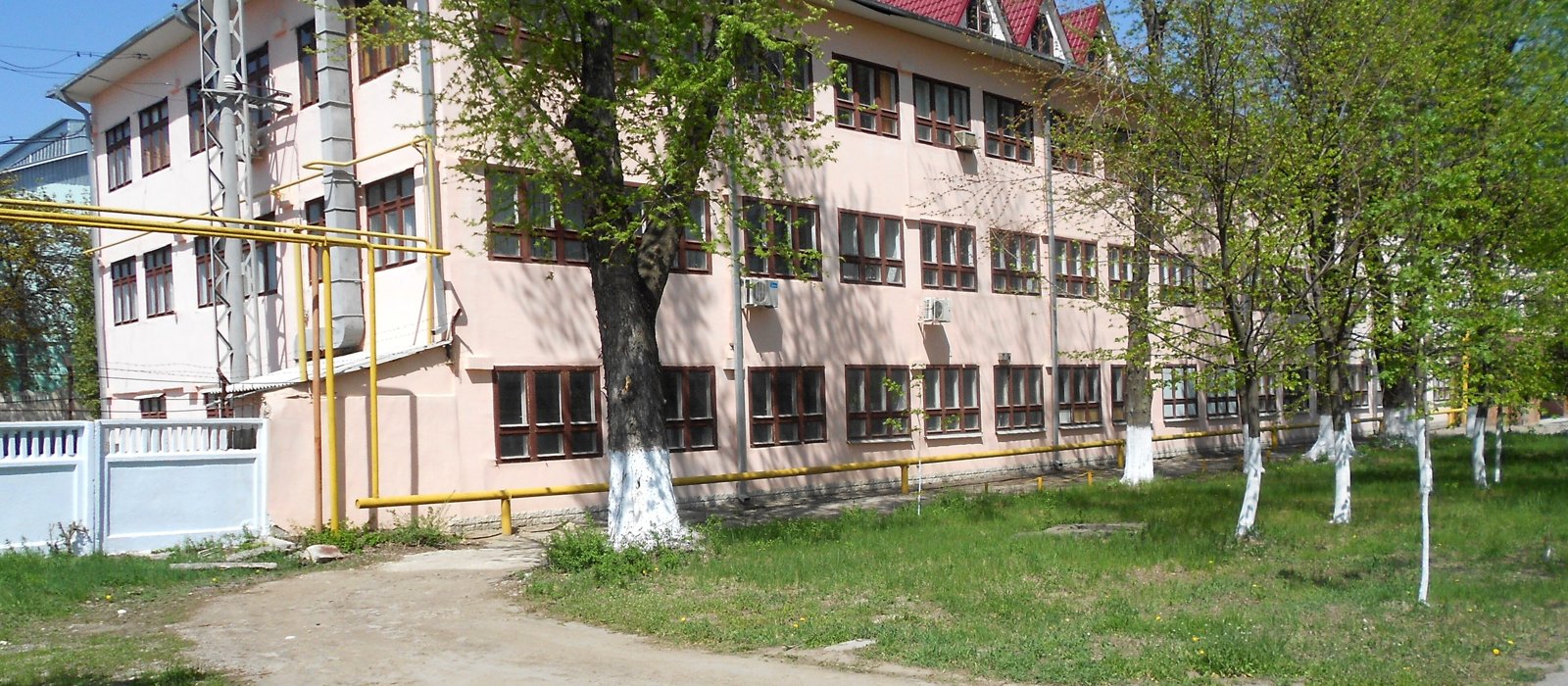 Clădirea filialei din Bălți a întreprinderii de stat Moldelectrica, cu arbori vopsiți în alb în față