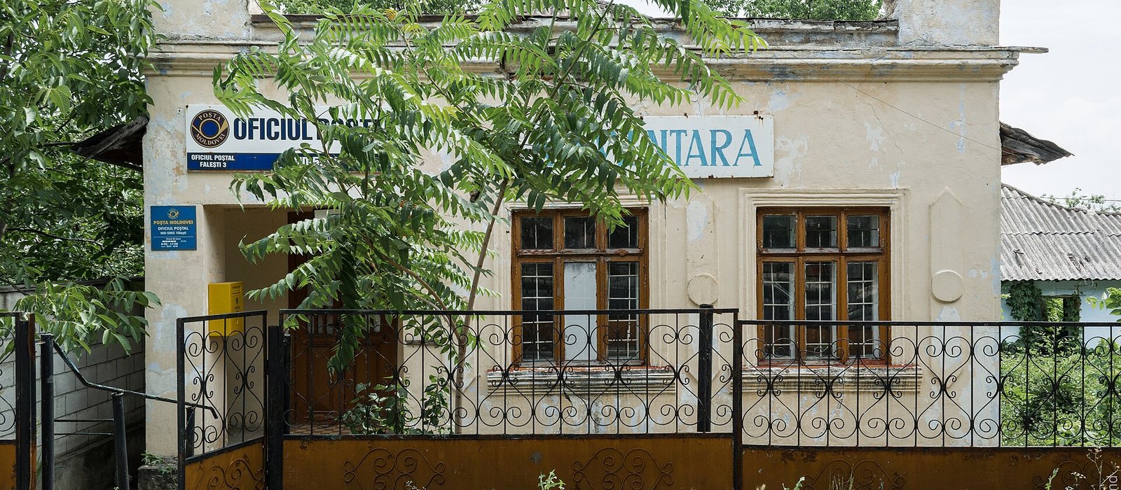 Oficiul poștal din Fălești al Poștei Moldovei, o clădire cu tencuială crăpată, gard de fier forjat și un copac în față